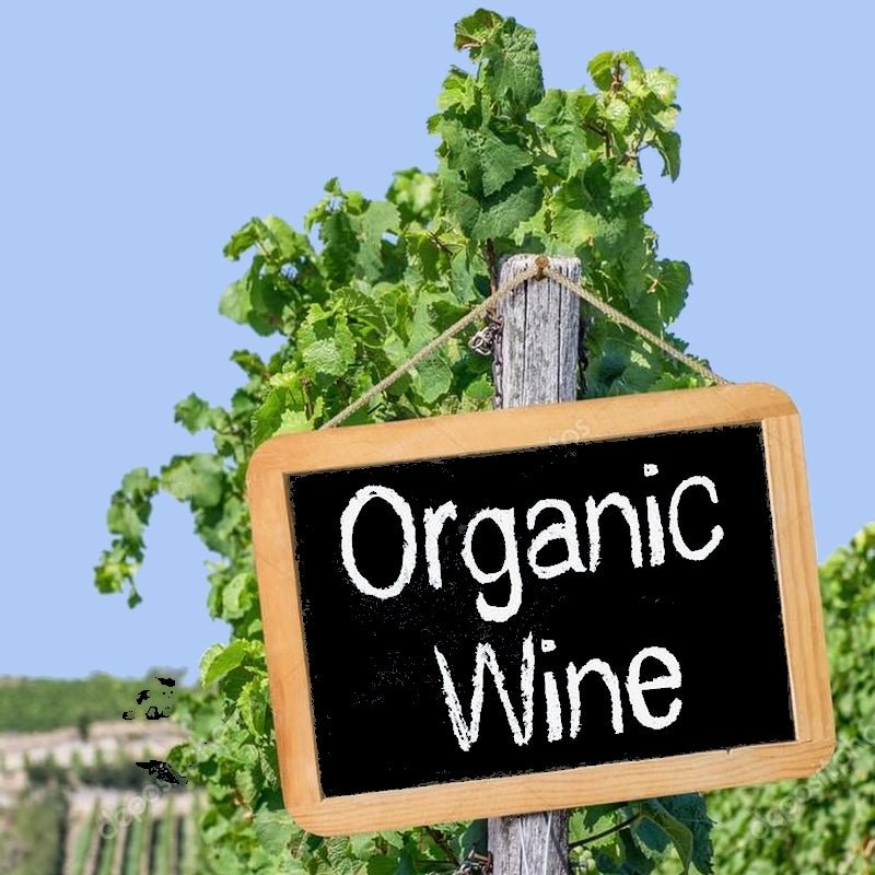 Top 10 Organic - Sip & Say